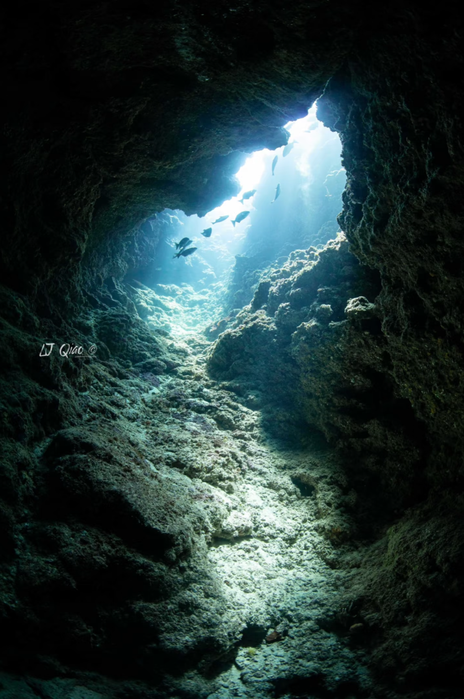 Diver portrait in Palau