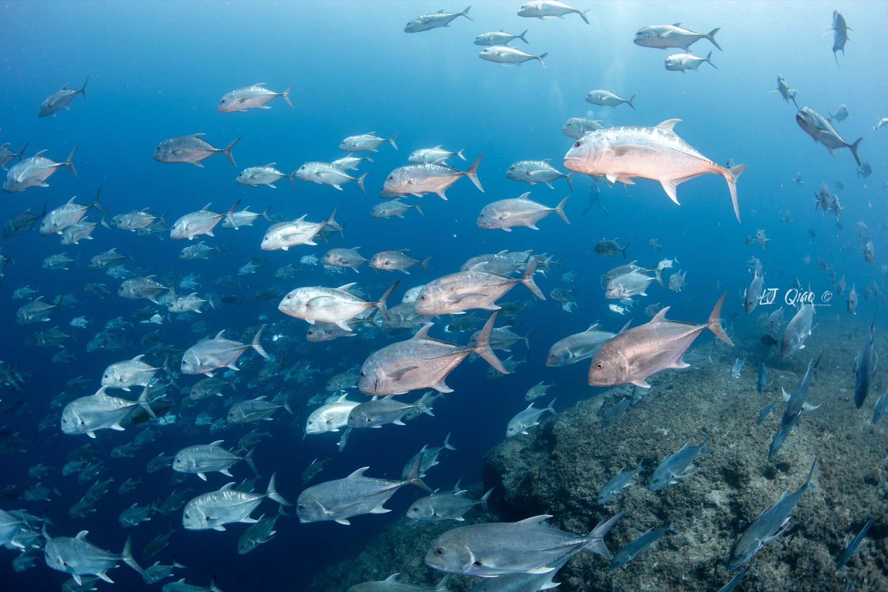 Palau dive site view
