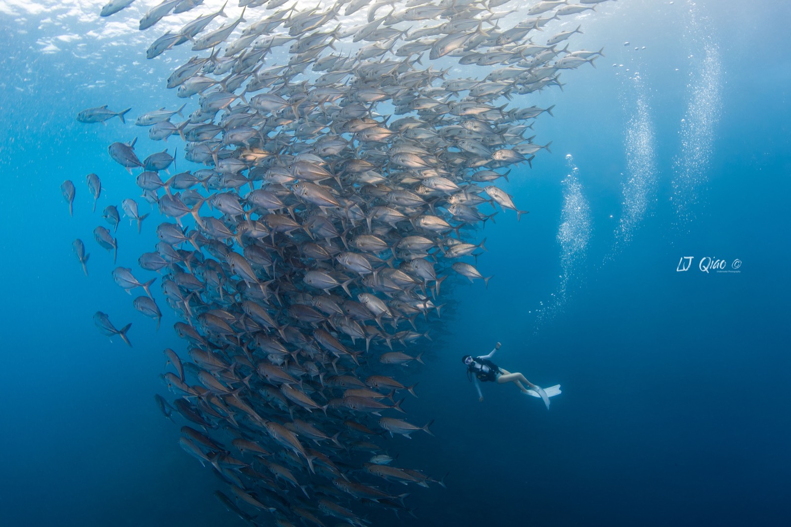 Blue Corner reef scene in Palau