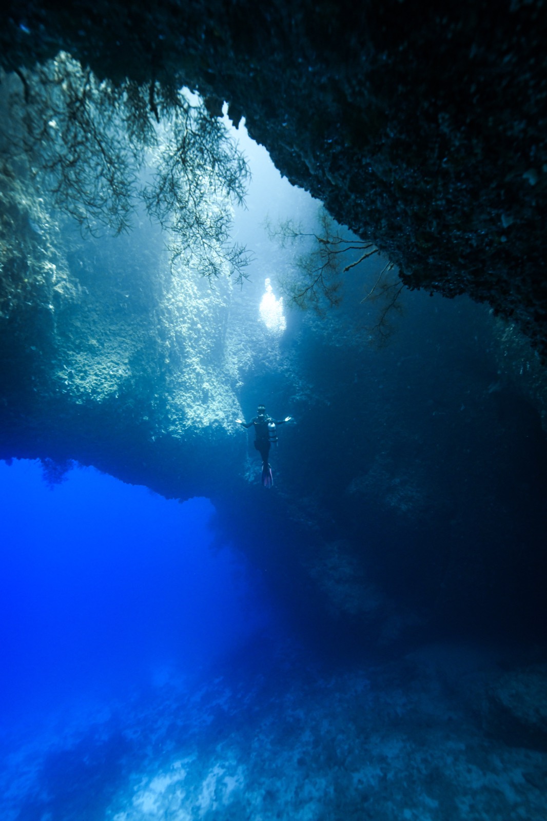 Blue Holes cavern light in Palau