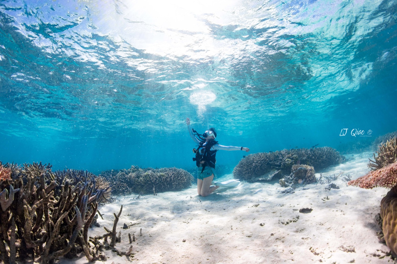Ulong Channel reef and marine life in Palau